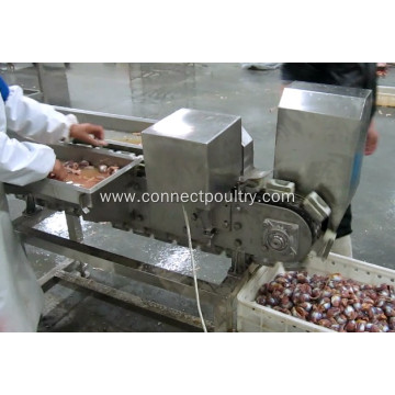 Poultry Gizzard Processing Machine